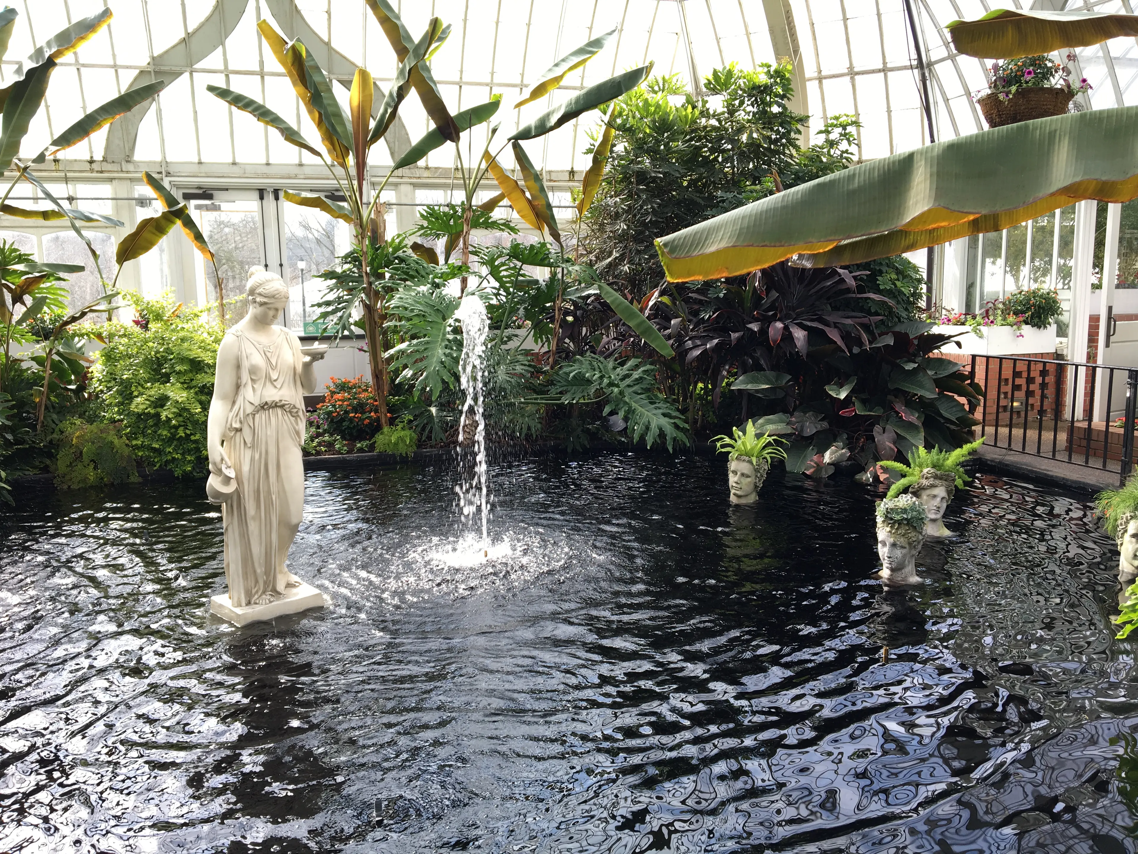 Thumbnail of Phipps